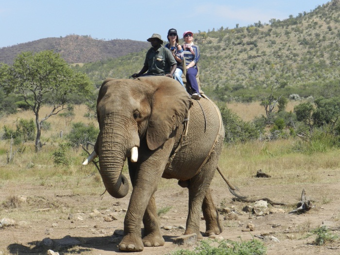 Güney Afrika Turumuz'dan Pilanesberg..